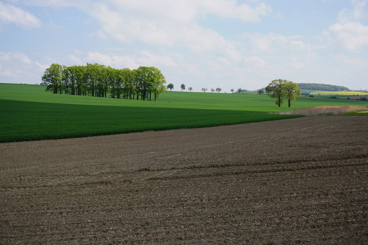 Vast green fields under a clear sky in Ślęza, Dolnośląskie, Poland.